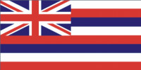 Hawaii flag 90 x 150 cm