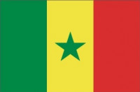 Senegal flag 90 x 150 cm