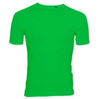 Uni Fashion T-shirt forårsgrøn (spring green)