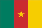 Cameroun flag 90 x 150 cm