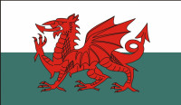 Wales flag 90 x 150 cm
