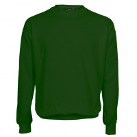 Atlanta Sweatshirt flaskegrøn (bottle green)