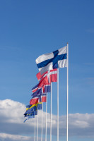 Nationalflag på forespørgelse