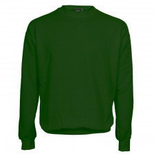 Atlanta Sweatshirt flaskegrøn (bottle green)