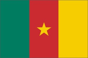 Cameroun flag 90 x 150 cm Cameroun flag 90 x 150 cm